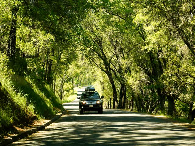 Prepare For Road Trips